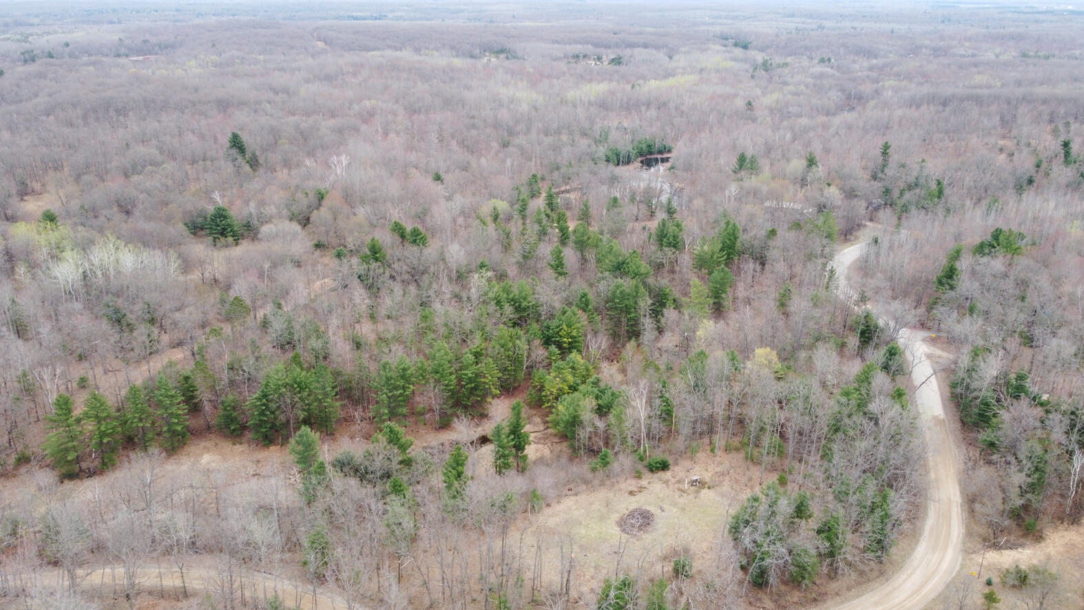 2076 North Ridge Road Harrison, MI 48625 - Photo 41 of 56 DJI_0052