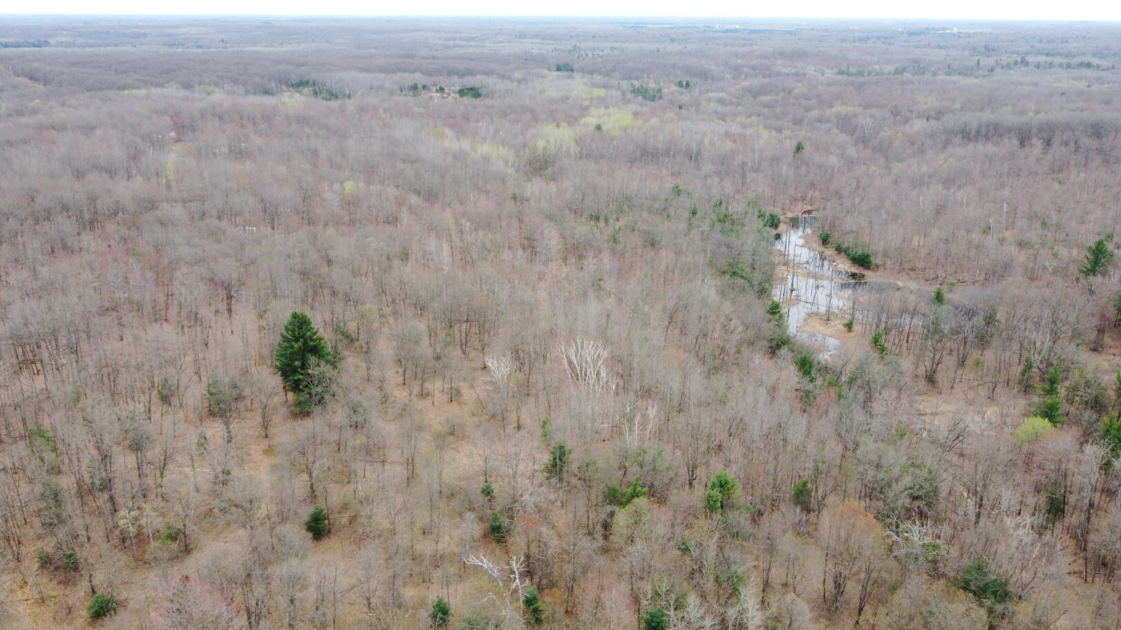 2076 North Ridge Road Harrison, MI 48625 - Photo 44 of 56 DJI_0062