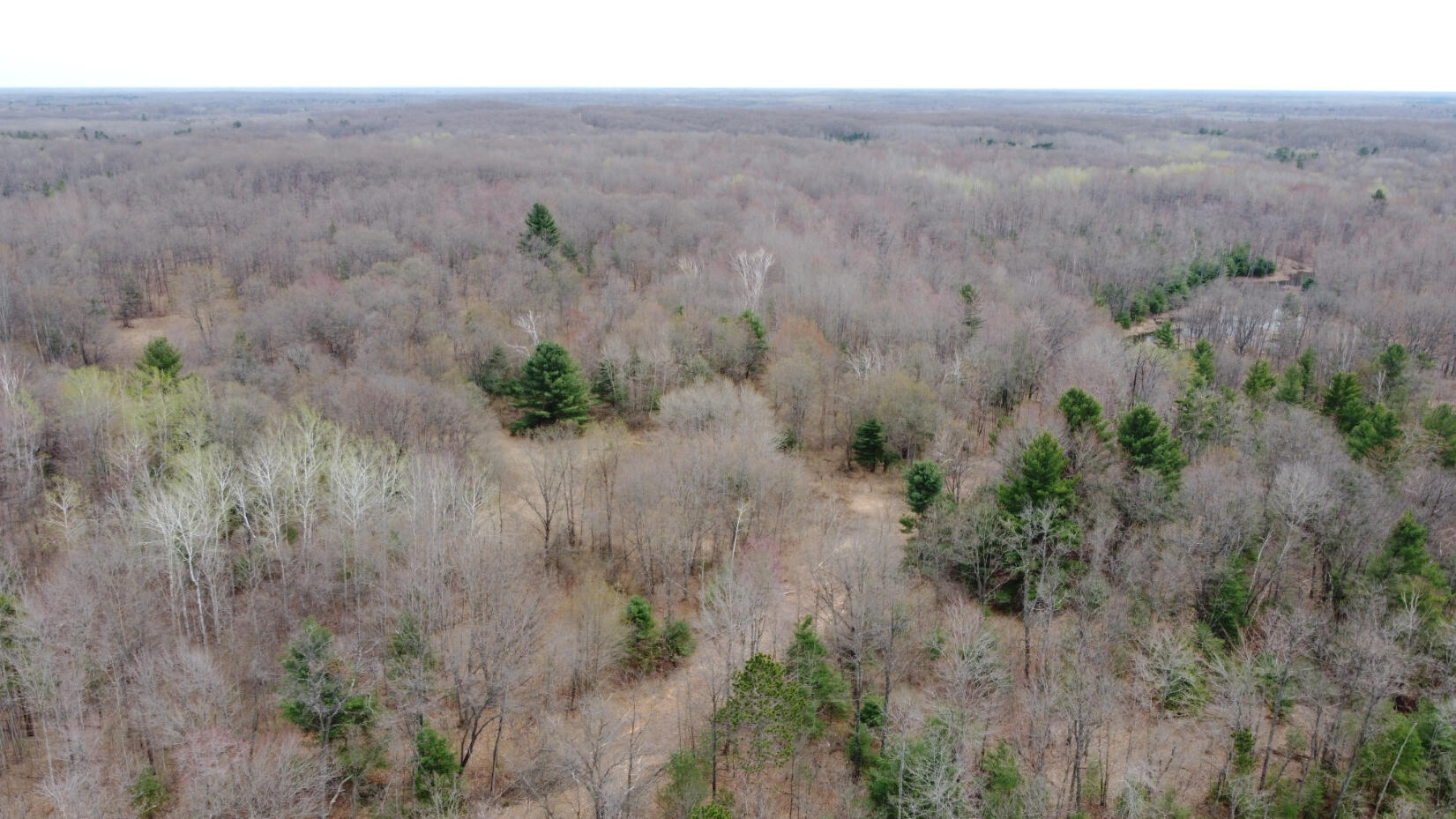 2076 North Ridge Road Harrison, MI 48625 - Photo 48 of 56 DJI_0089