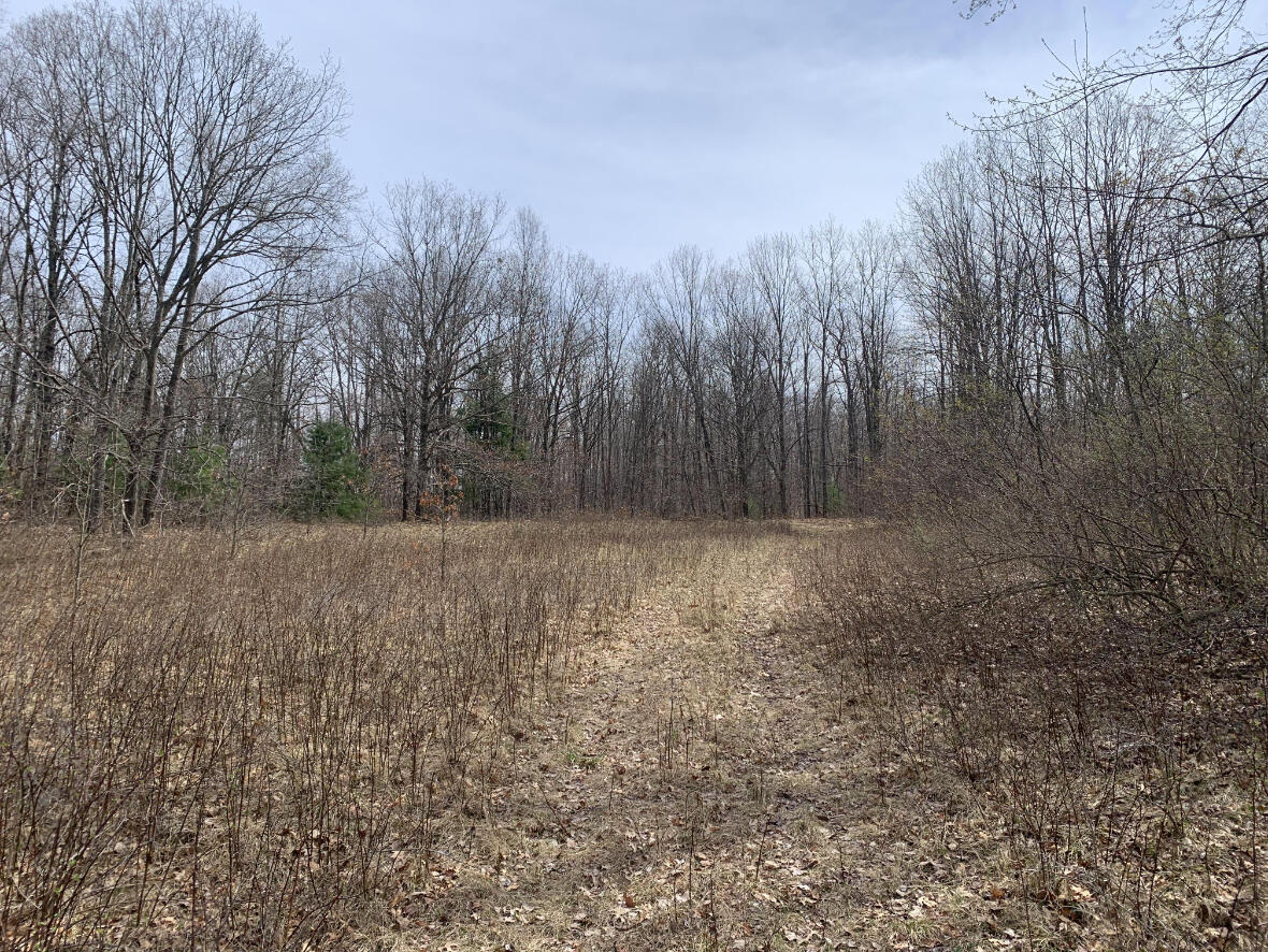 2076 North Ridge Road Harrison, MI 48625 - Photo 9 of 56 9