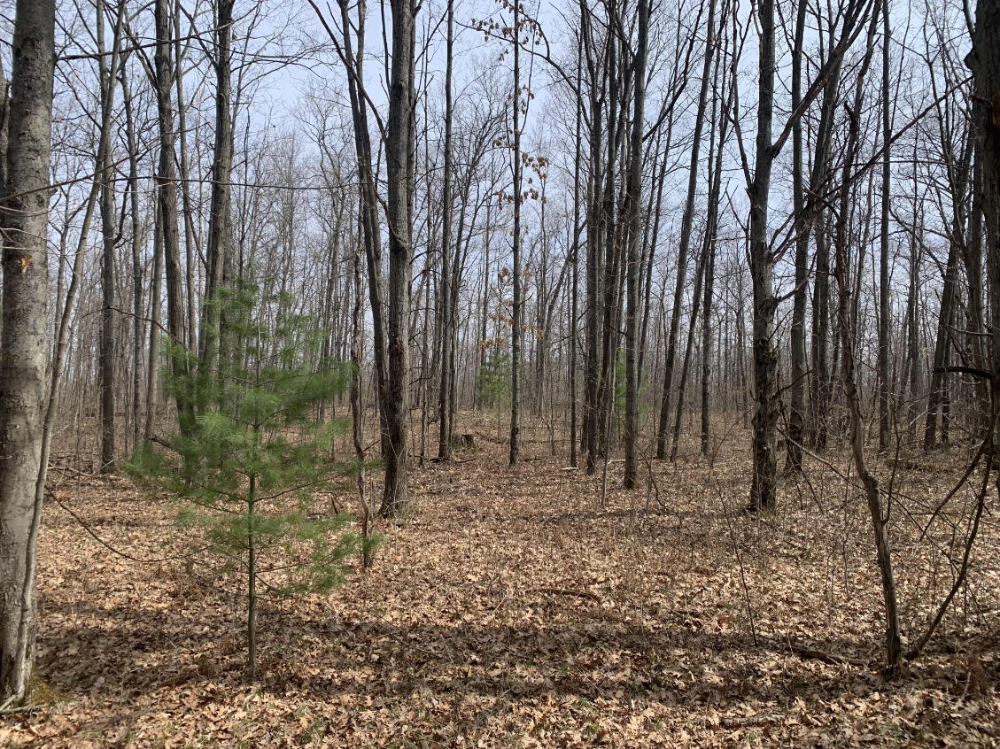 2076 North Ridge Road Harrison, MI 48625 - Photo 10 of 56 10
