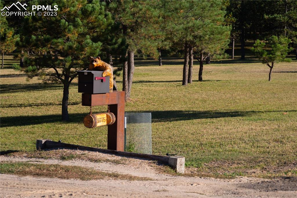 9775 Walker Road Colorado Springs, CO 80908 - Photo 3 of 50 a view of a yard with an outdoor space