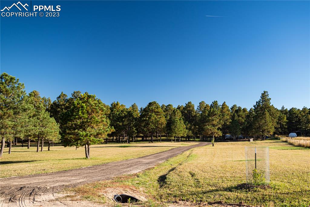 9775 Walker Road Colorado Springs, CO 80908 - Photo 4 of 50 a view of an outdoor space and trees