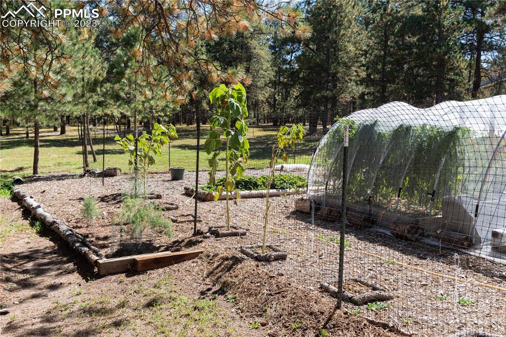 9775 Walker Road Colorado Springs, CO 80908 - Photo 44 of 50 a view of a park with a bench