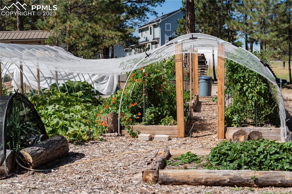 9775 Walker Road Colorado Springs, CO 80908 - Photo 46 of 50 a front view of a house with a yard
