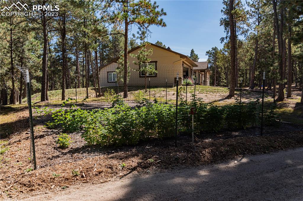 9775 Walker Road Colorado Springs, CO 80908 - Photo 47 of 50 a front view of a house with a yard