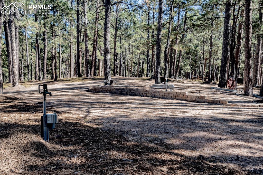 9775 Walker Road Colorado Springs, CO 80908 - Photo 50 of 50 a view of a yard with large trees
