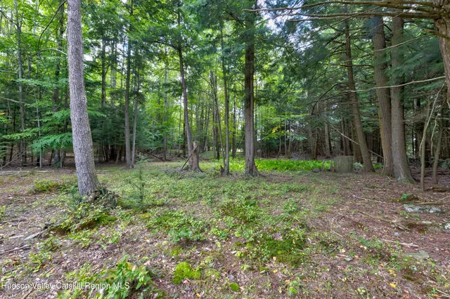 a view of outdoor space and garden