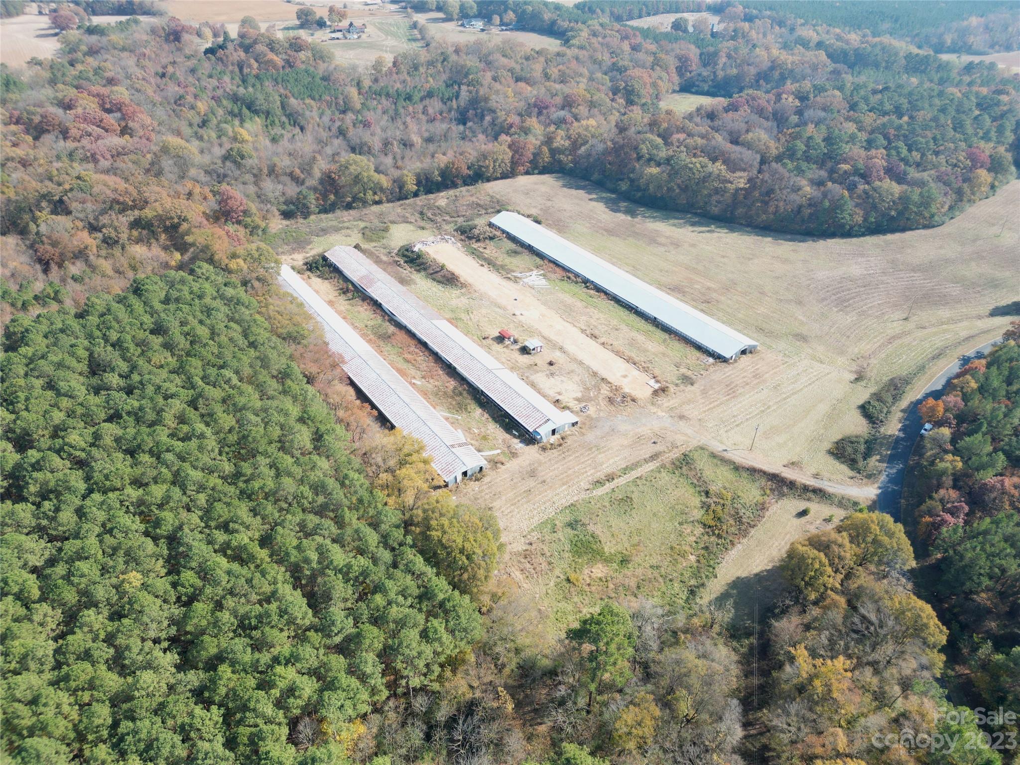 244 Faulkner Road Peachland, NC 28133 - Photo 13 of 31 a view of a backyard with a forest