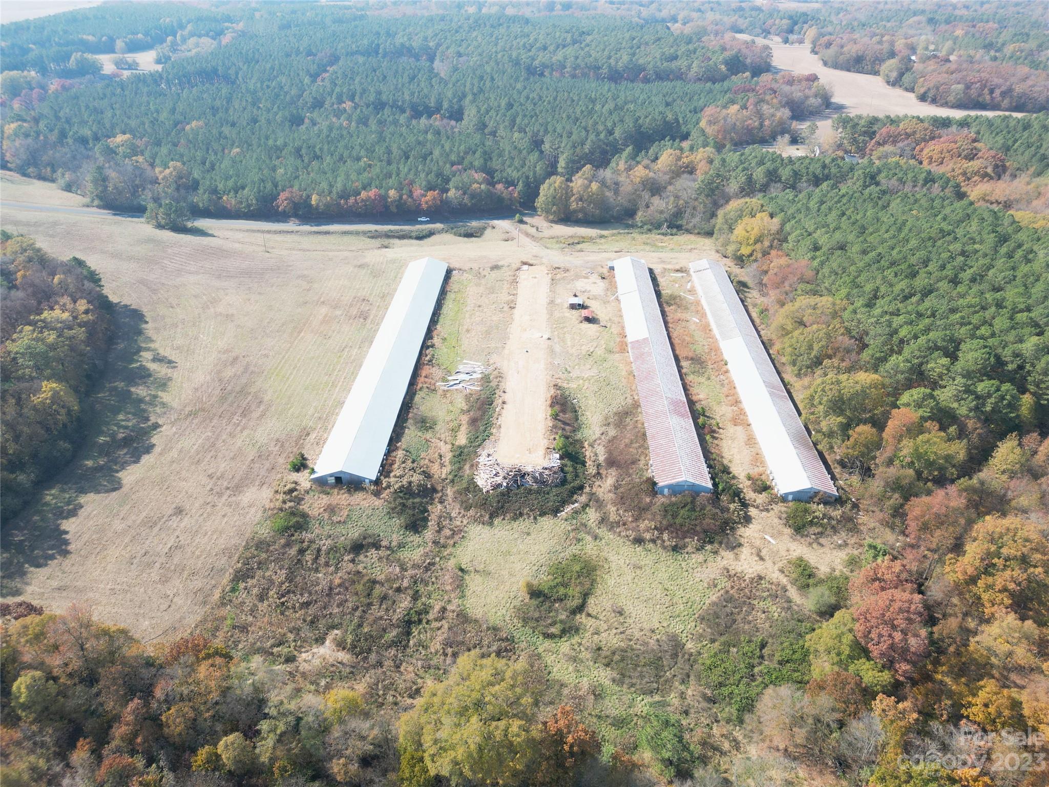 244 Faulkner Road Peachland, NC 28133 - Photo 16 of 31 a view of a yard with a pathway