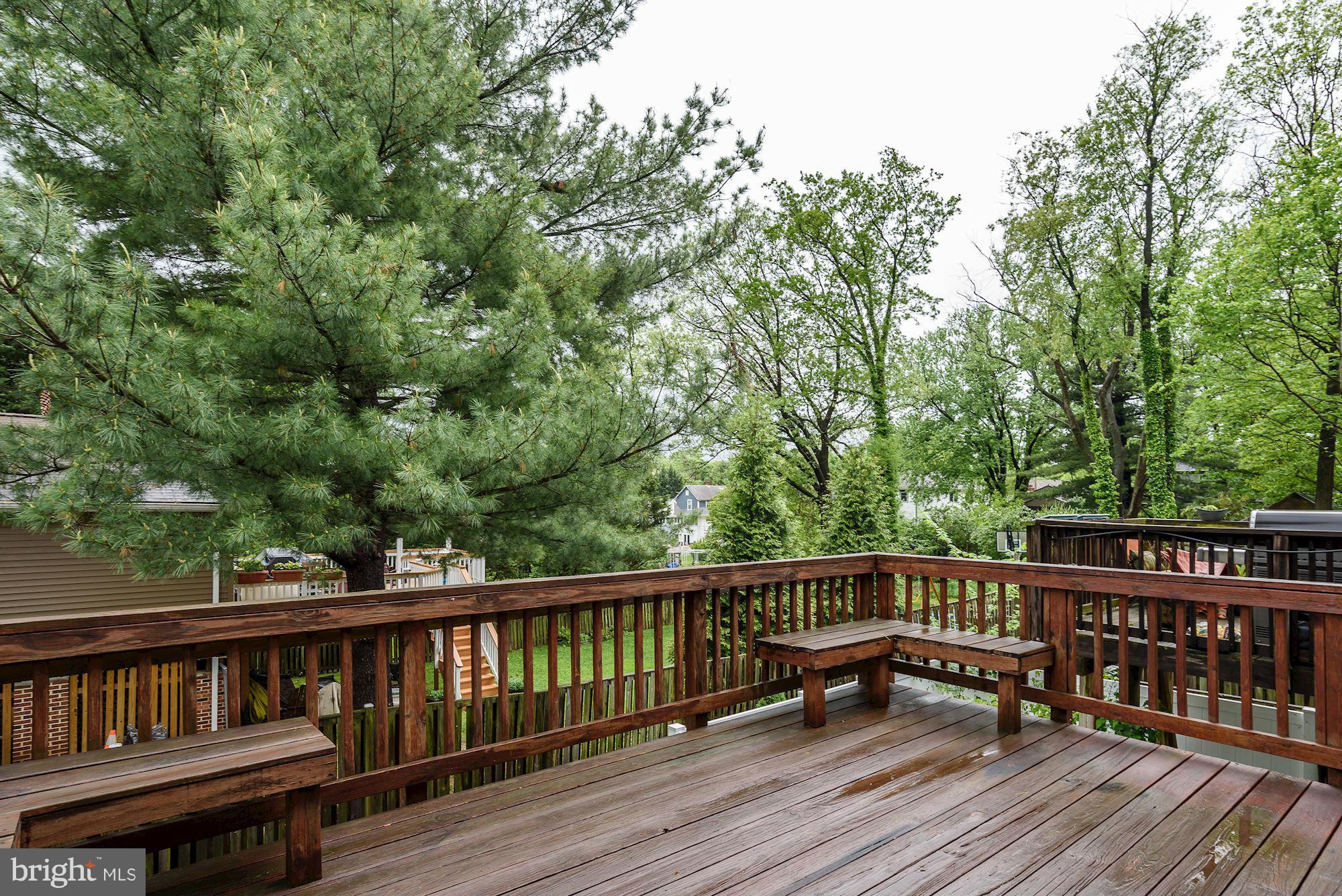 734 Ritchie Avenue Silver Spring, MD 20910 - Photo 28 of 30 Spacious Deck