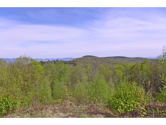 4235 Fellows/lamotte Road Guildhall, VT 05905 - Photo 26 of 36