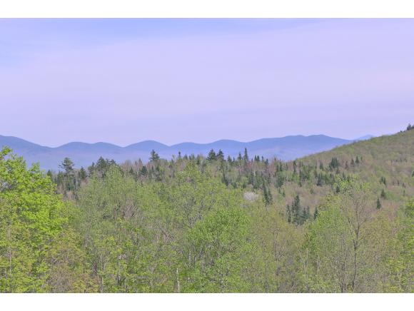 4235 Fellows/lamotte Road Guildhall, VT 05905 - Photo 27 of 36