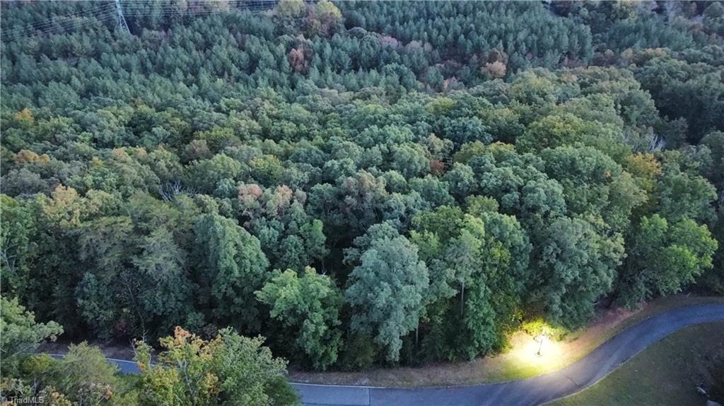 593 Boulder Ridge Drive Denton, NC 27239 - Photo 7 of 9