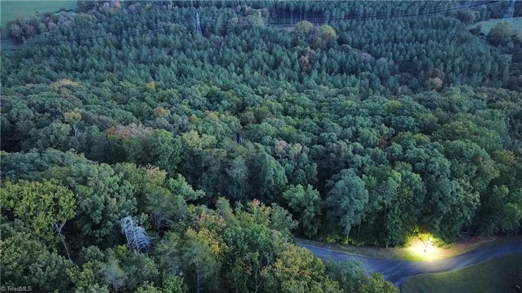 593 Boulder Ridge Drive Denton, NC 27239 - Photo 8 of 9