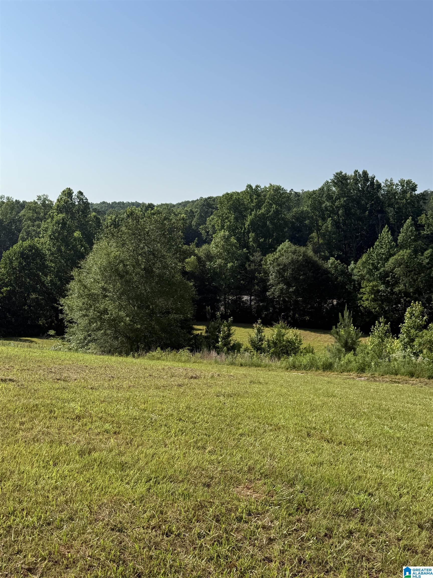 0 County Road 450 Fruithurst, AL 36262 - Photo 2 of 13