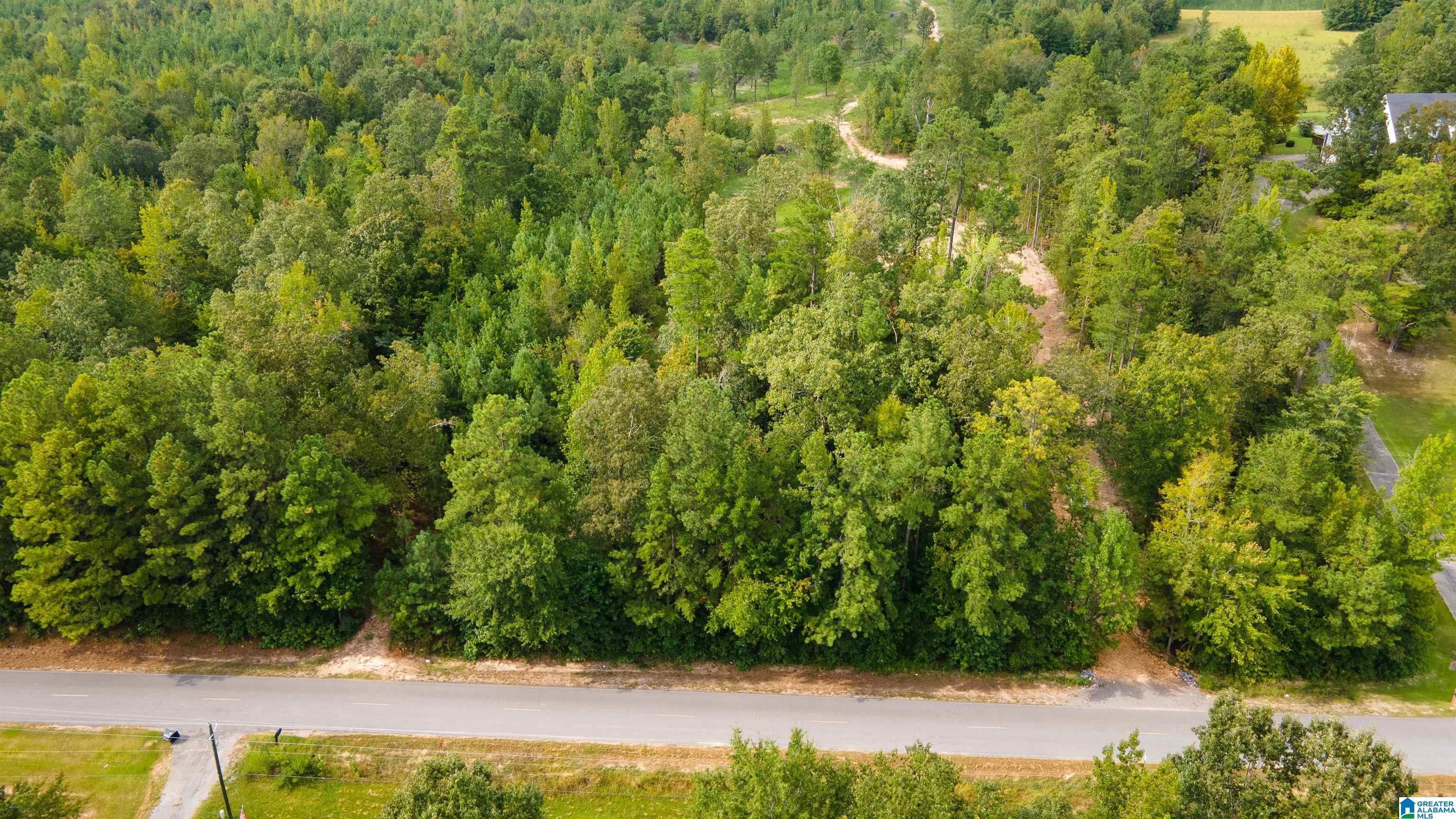 10675 Shoal Creek Road, Unit X Ashville, AL 35953 - Photo 18 of 19