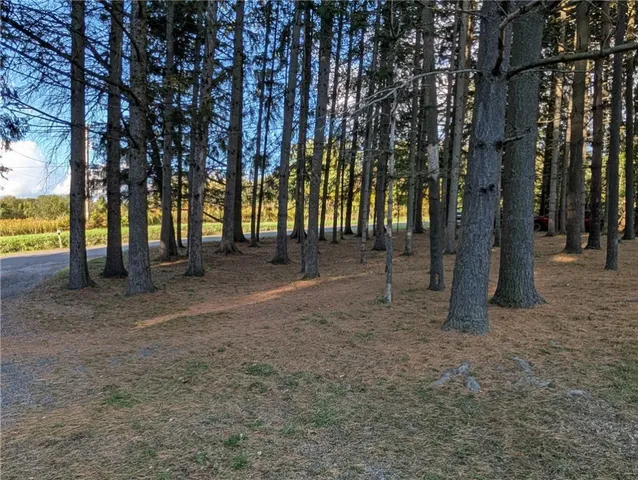 $259,900 | 4522 Hall Road, Moravia, NY 13118