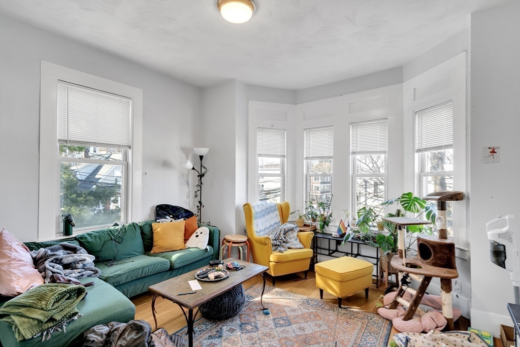 39 Union Street Boston, MA 02135 - Photo 14 of 27 a living room with furniture potted plant and a large window