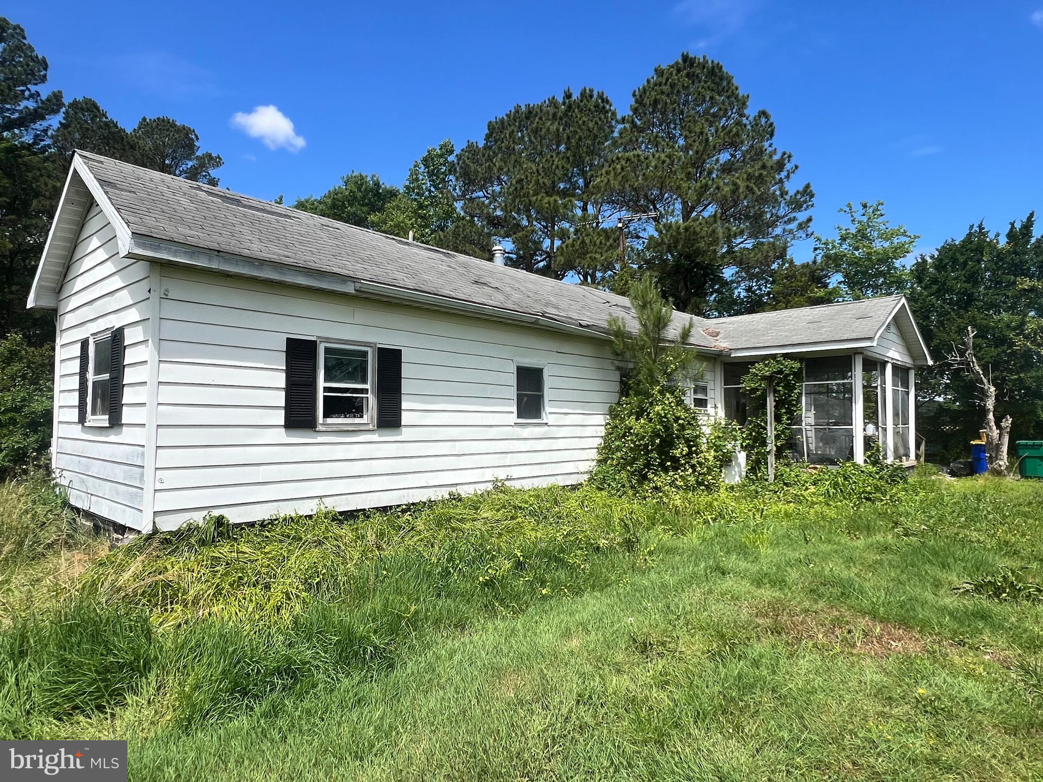 4334 Buttons Neck Road Woolford, MD 21677 - Photo 3 of 11 Gallery Image 3