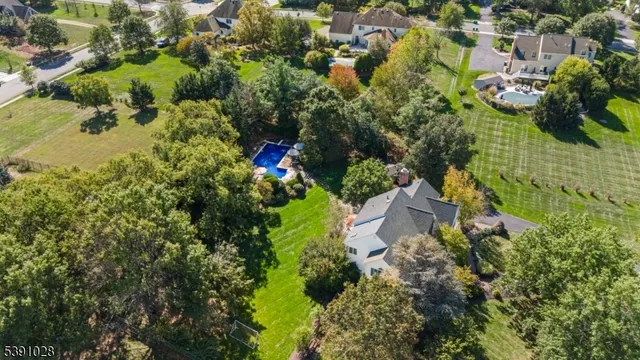 a view of a garden with plants