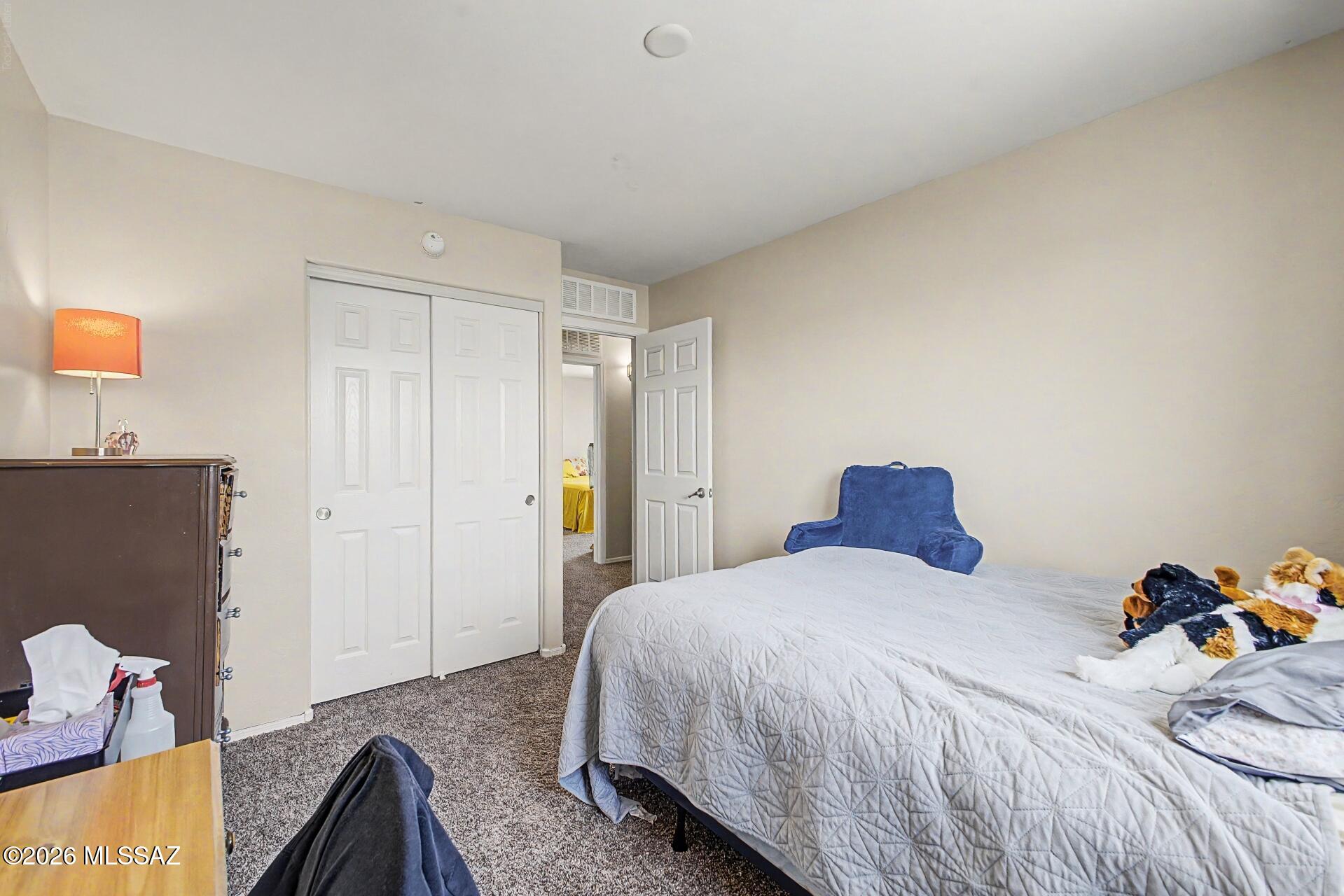 736 South Porter Routh Place Vail, AZ 85641 - Photo 19 of 33