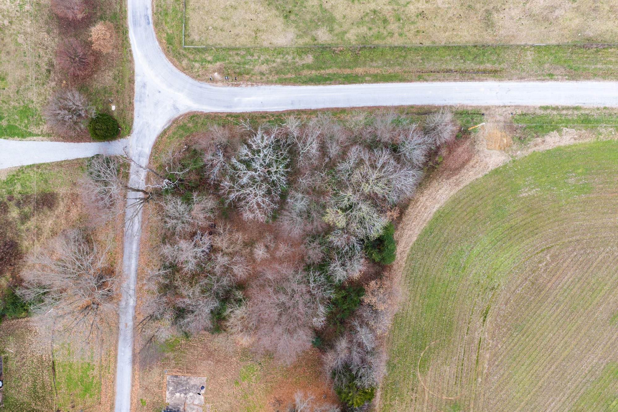 0 Oak Lane Trezevant, TN 38258 - Photo 10 of 15 a view of a swimming pool with a yard
