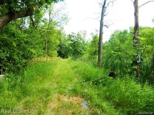 Vac Shappie Road Clarkston, MI 48348 - Photo 3 of 5 Jamesridgevalley 028.jpg