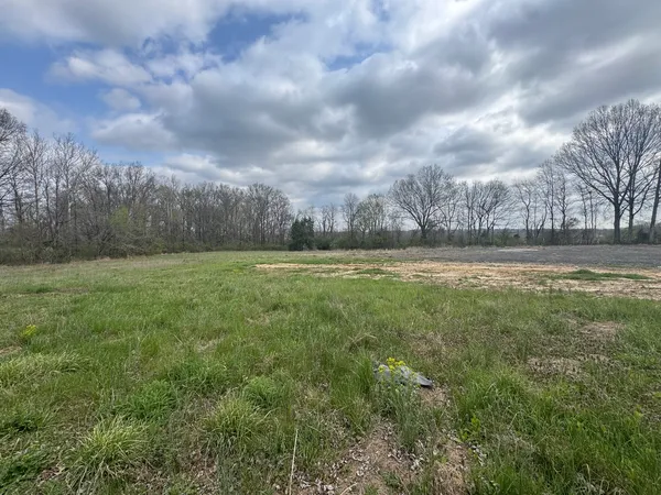 $90,000 | 900 Old Rte 146 Loop, Vienna, IL 62995
