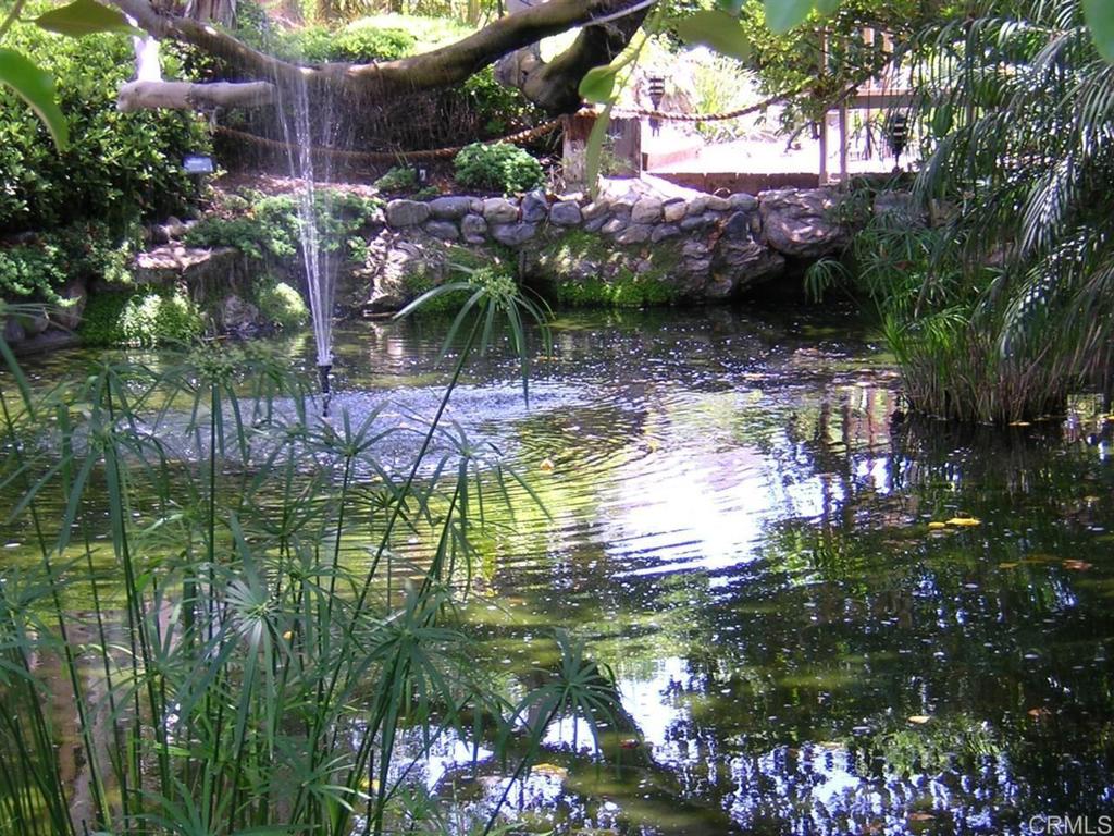 527 South Sierra Avenue, Unit 185 Solana Beach, CA 92075 - Photo 24 of 30 a view of a bird bath