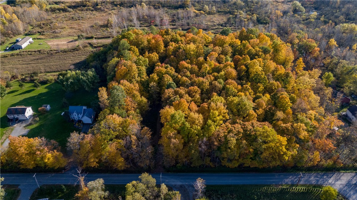 1 Decker Road Livonia, NY 14487 - Photo 1 of 1
