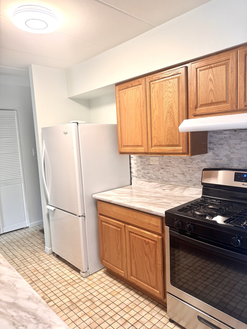 300 South Roselle Road, Unit 309 Schaumburg, IL 60193 - Photo 4 of 19
