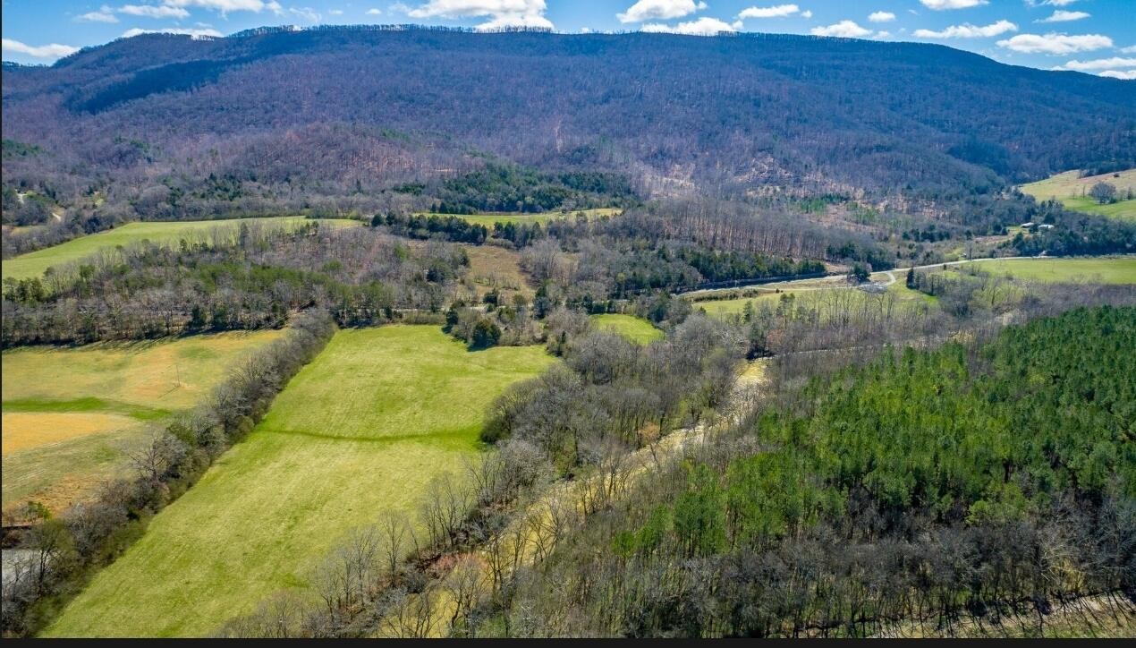 0 Lower East Valley Road Dunlap, TN 37327 - Photo 3 of 22 Gallery Image 3