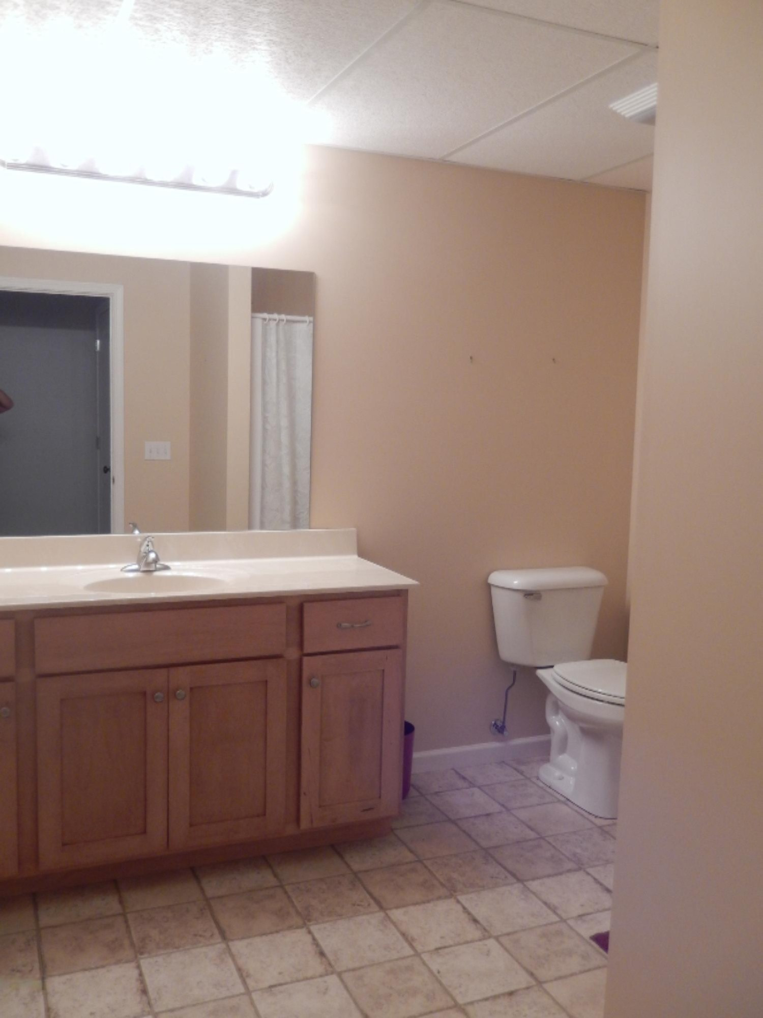 14100 Rivers Way, Unit 8 Big Rapids, MI 49307 - Photo 13 of 17 Full Bath
