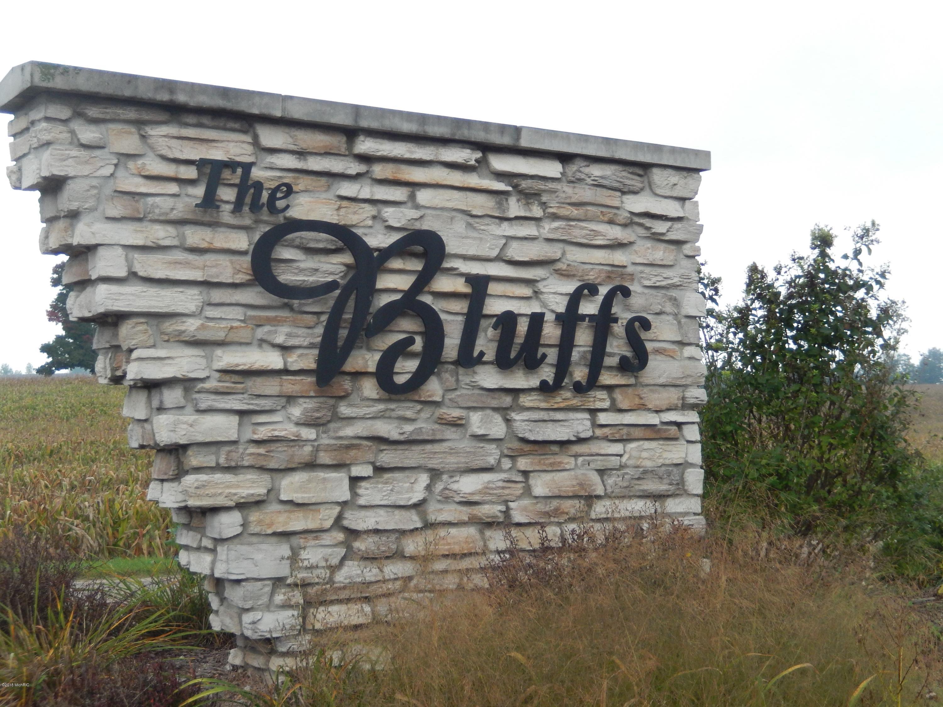 14100 Rivers Way, Unit 8 Big Rapids, MI 49307 - Photo 16 of 17 The Bluffs.