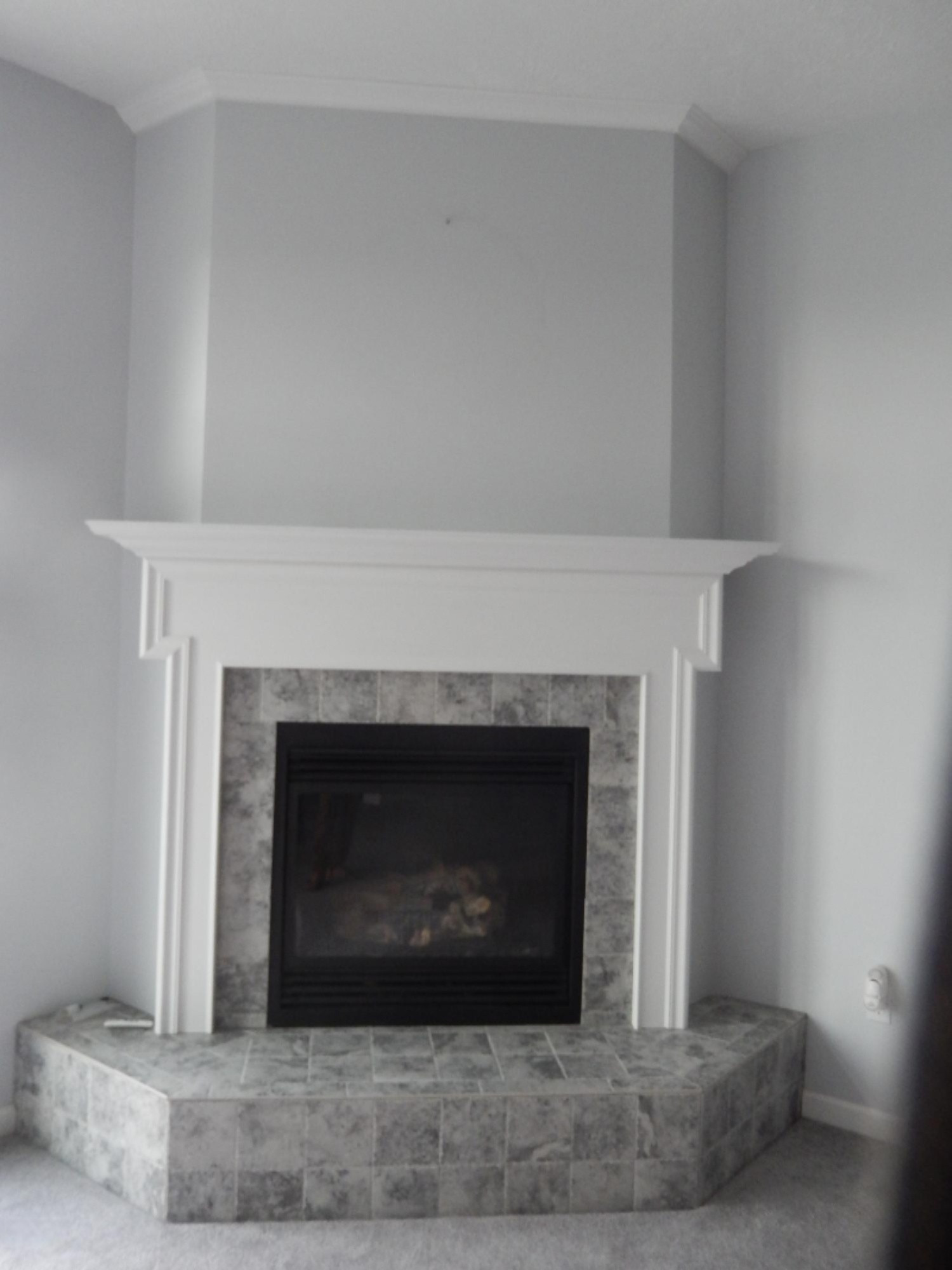 14100 Rivers Way, Unit 8 Big Rapids, MI 49307 - Photo 5 of 17 Fireplace