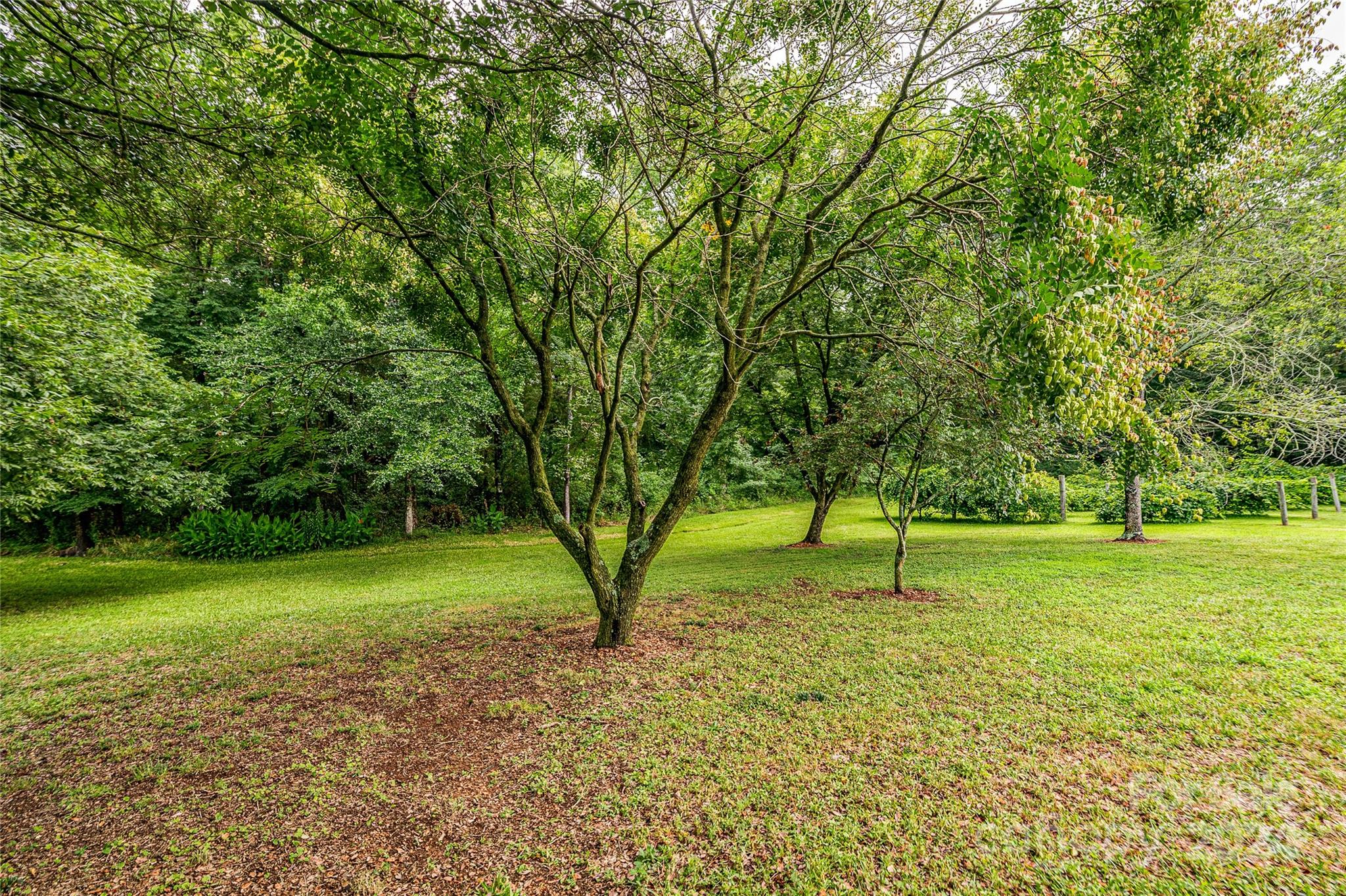 332 West Deep Springs Road Peachland, NC 28133 - Photo 27 of 41 Gallery Image 27