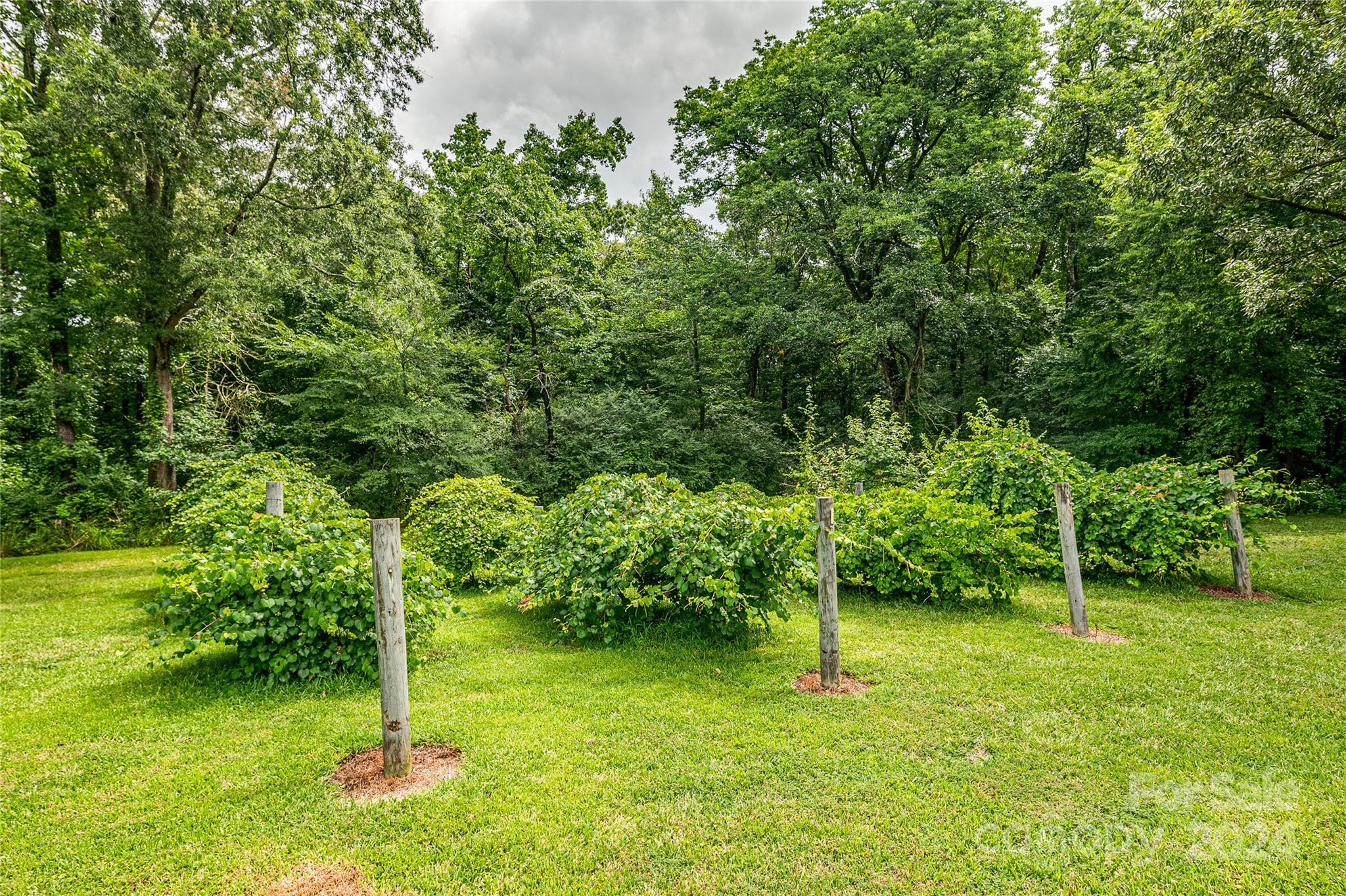332 West Deep Springs Road Peachland, NC 28133 - Photo 28 of 41 Gallery Image 28