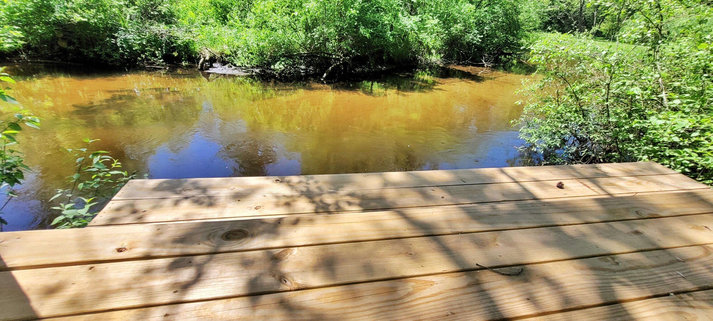 6623 South James Road Baldwin, MI 49304 - Photo 11 of 59 Baldwin River, Trout & Salmon