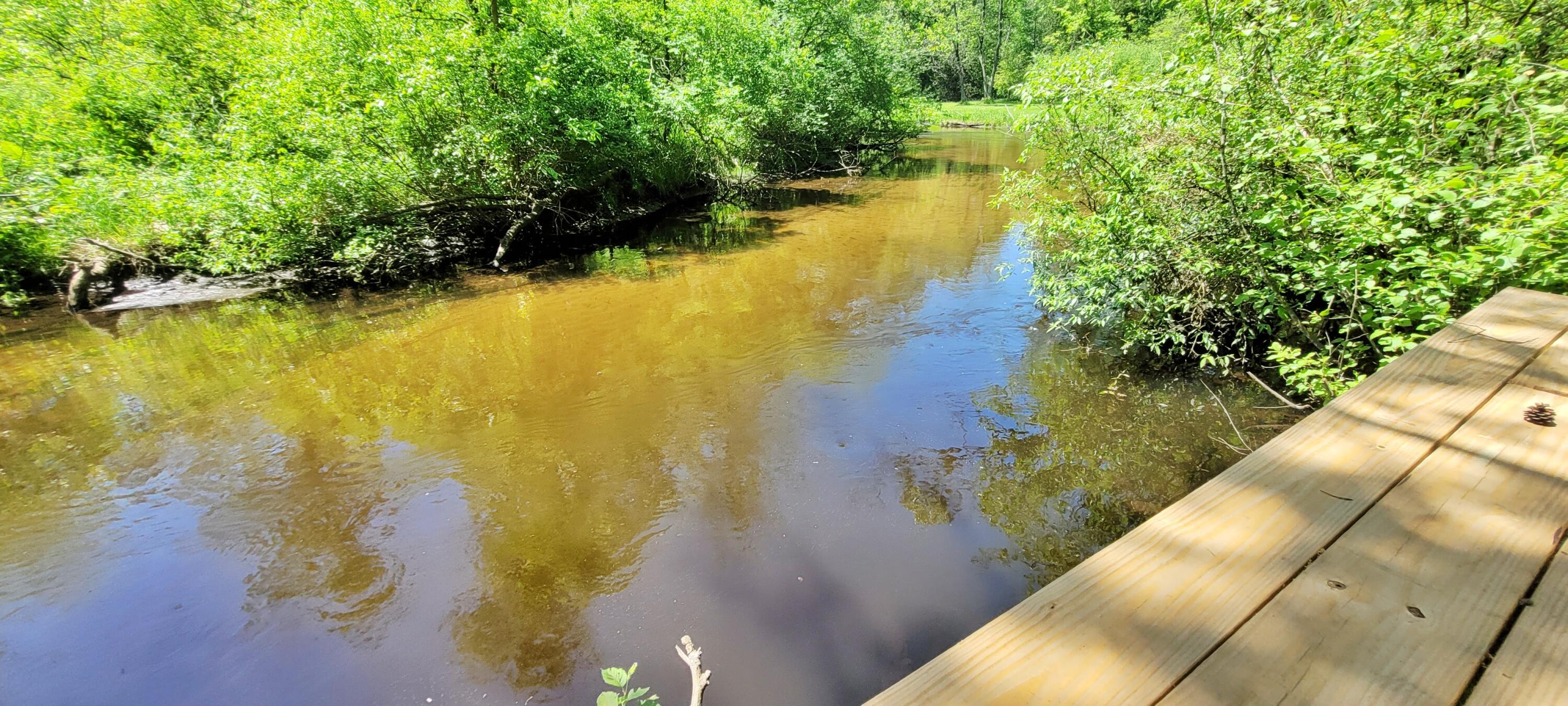 6623 South James Road Baldwin, MI 49304 - Photo 15 of 59 Baldwin River, Trout & Salmon