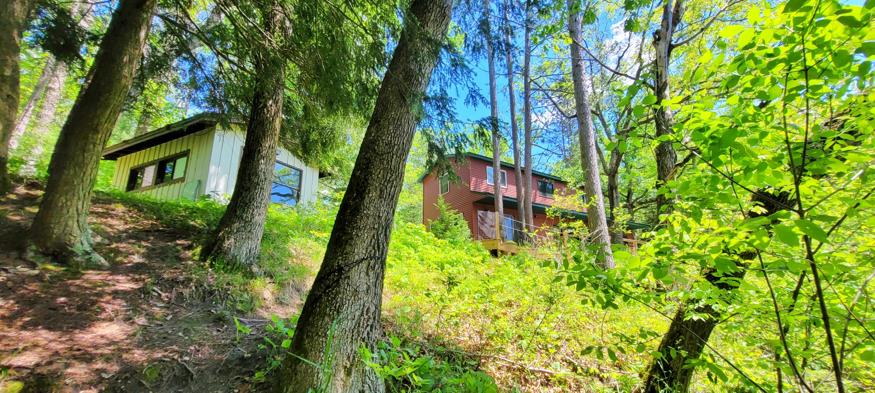 6623 South James Road Baldwin, MI 49304 - Photo 17 of 59 Natural landscape