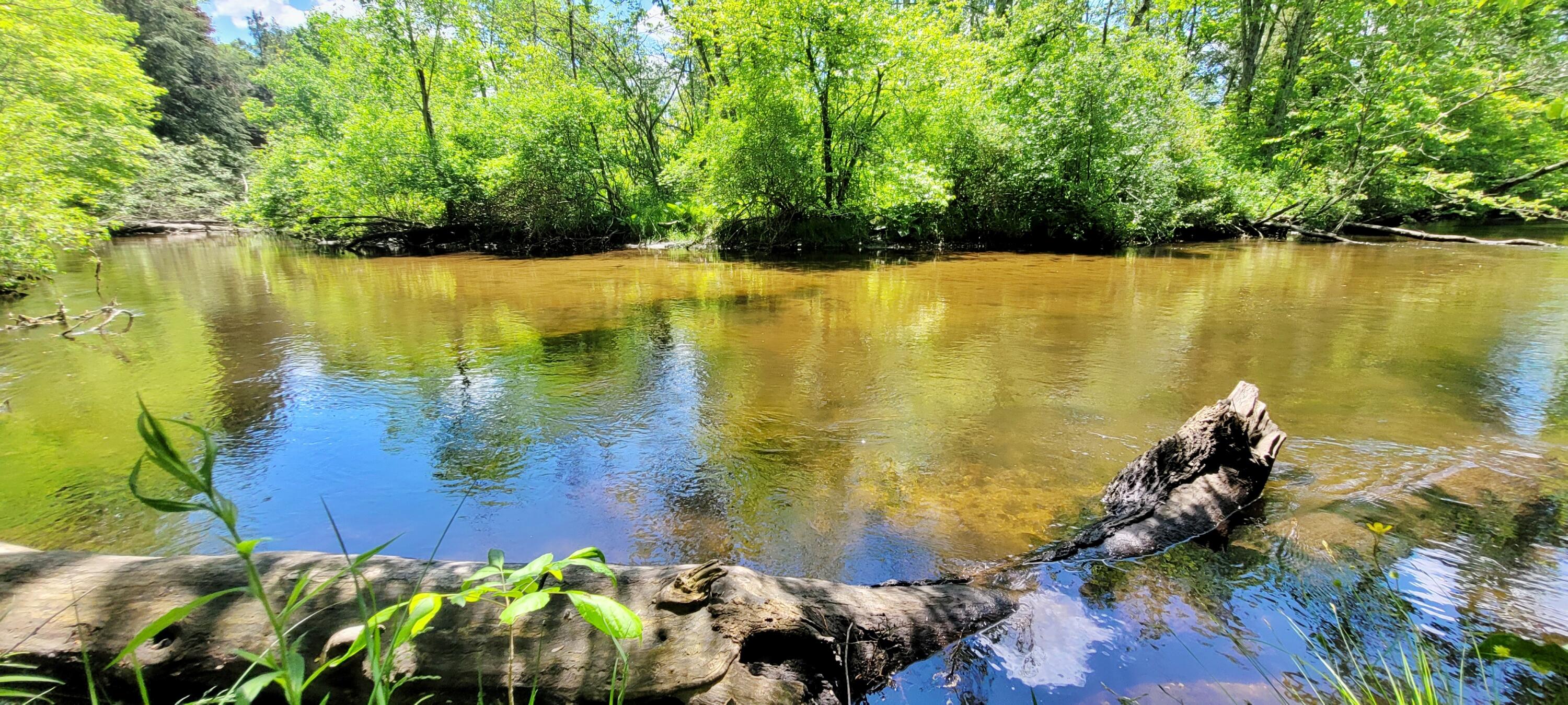 6623 South James Road Baldwin, MI 49304 - Photo 18 of 59 Baldwin River, Trout & Salmon