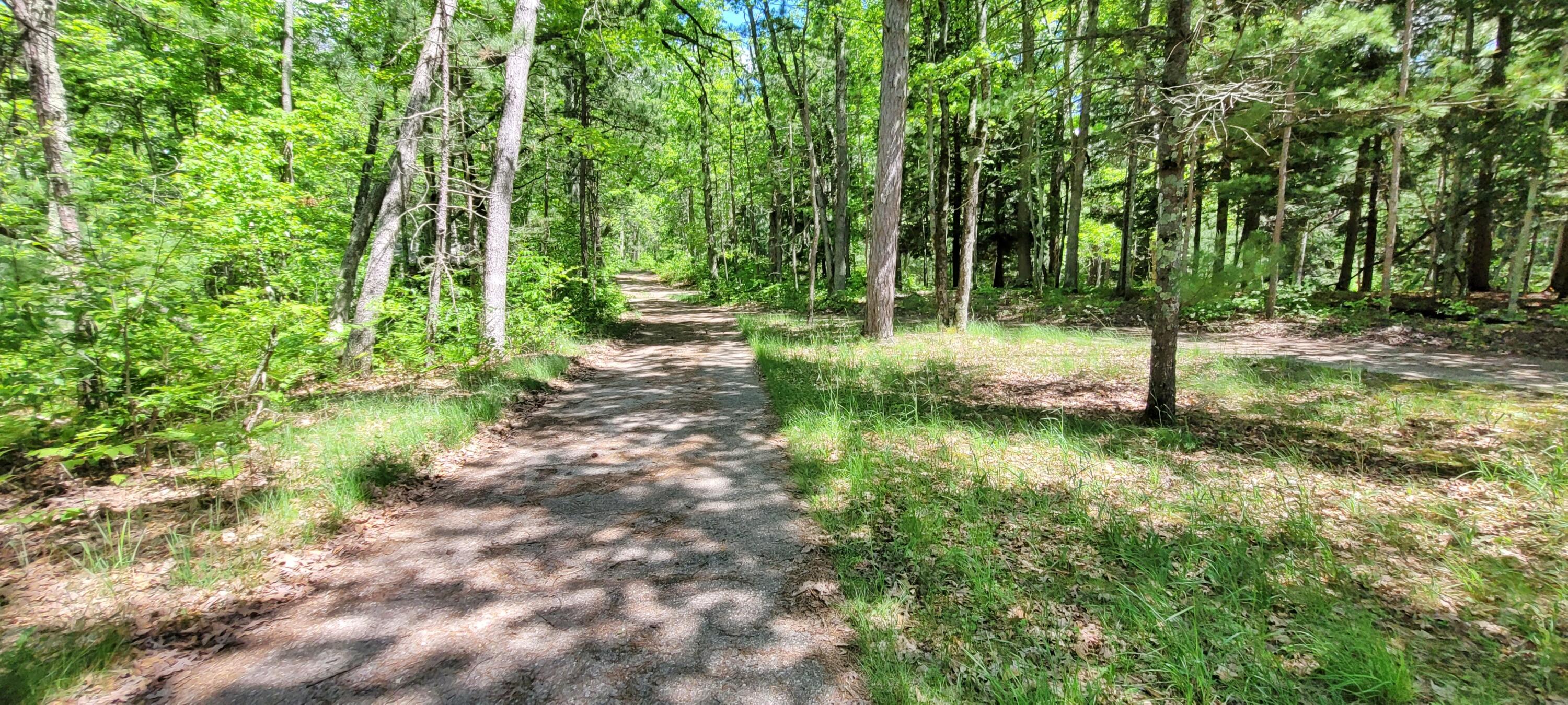 6623 South James Road Baldwin, MI 49304 - Photo 42 of 59 Gorgeous Drive