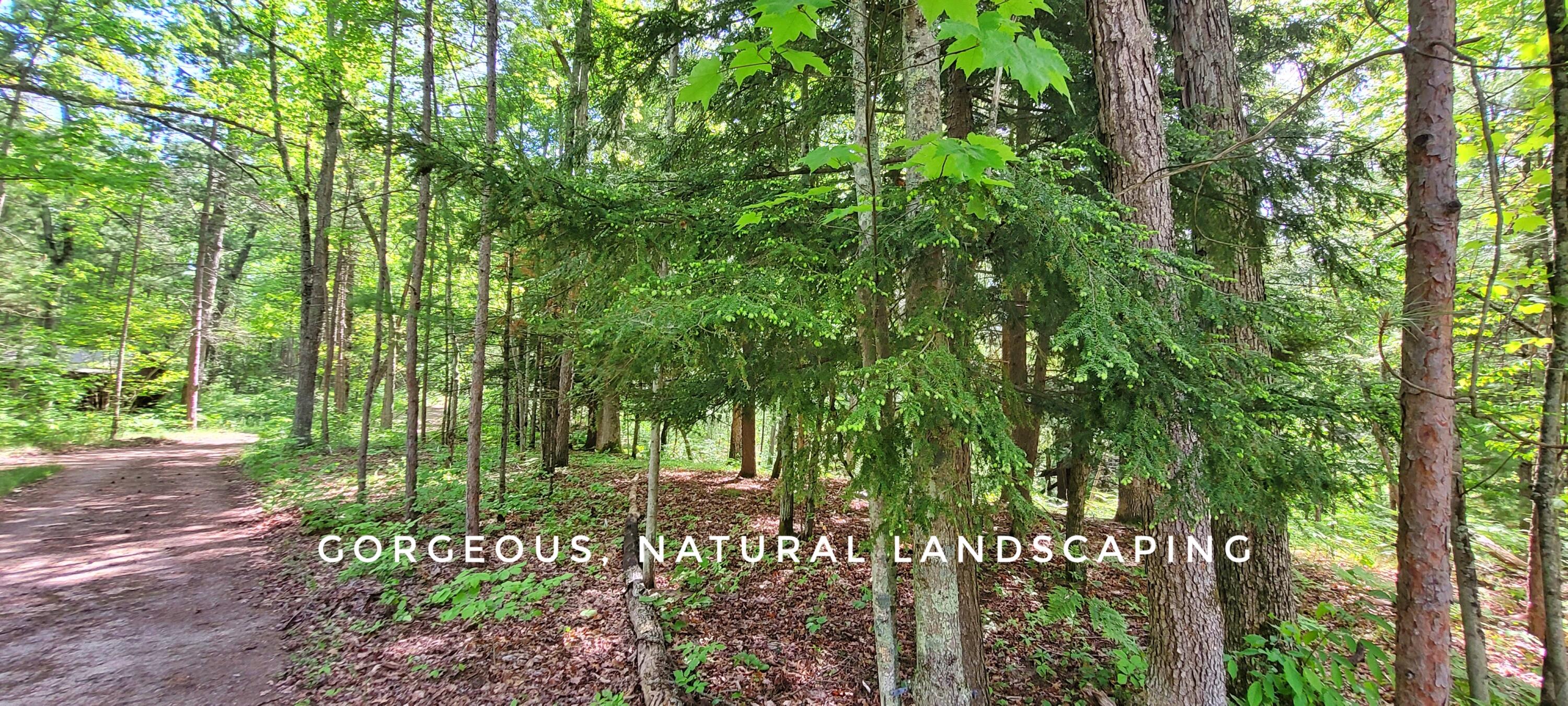 6623 South James Road Baldwin, MI 49304 - Photo 49 of 59 Natural Landscape