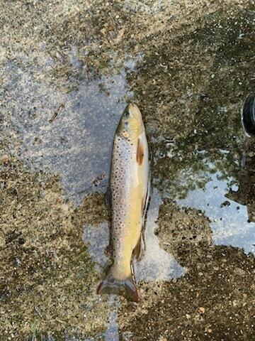 6623 South James Road Baldwin, MI 49304 - Photo 50 of 59 Go fishing!