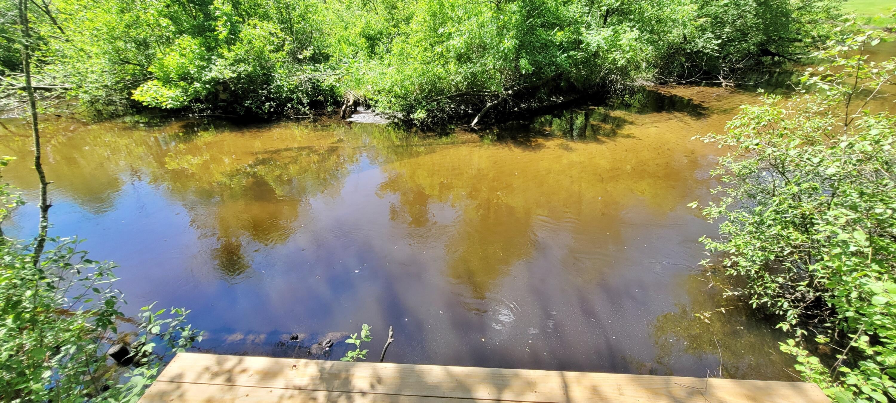 6623 South James Road Baldwin, MI 49304 - Photo 9 of 59 Baldwin River, Trout & Salmon
