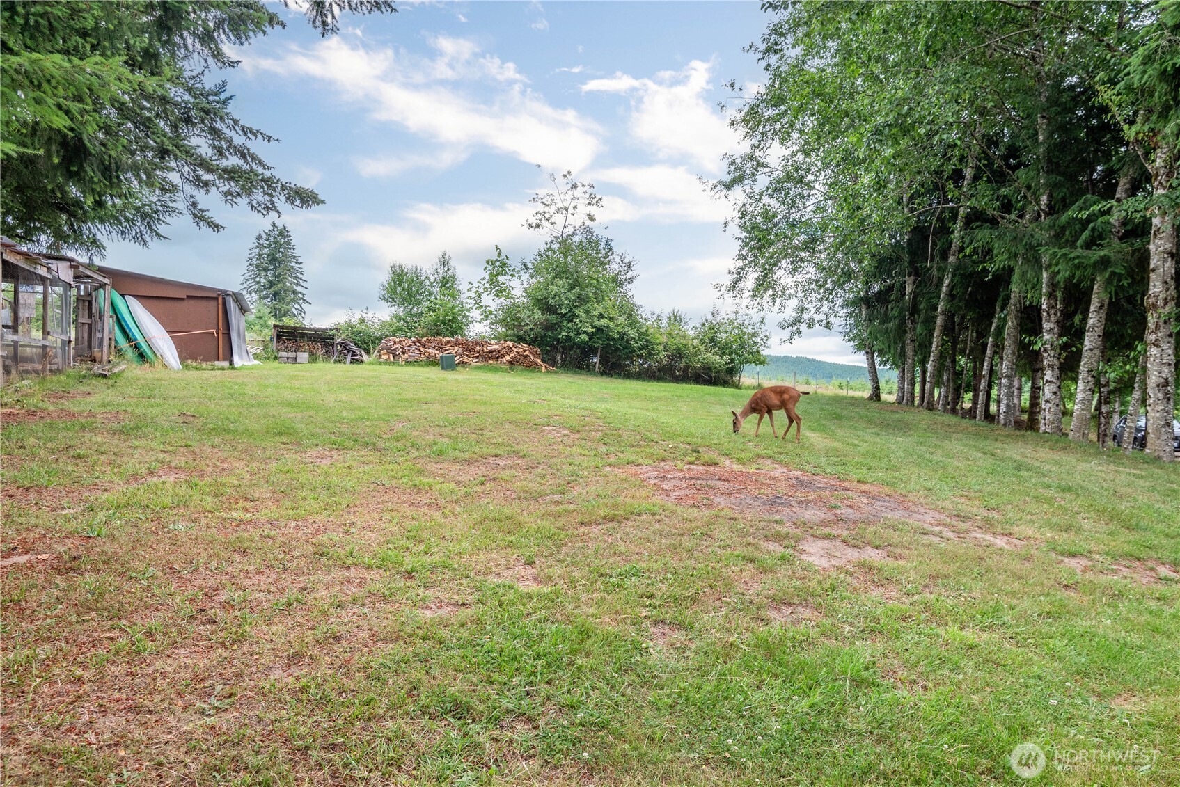 1482 Mountain View Road Kalama, WA 98625 - Photo 33 of 39 Gallery Image 33