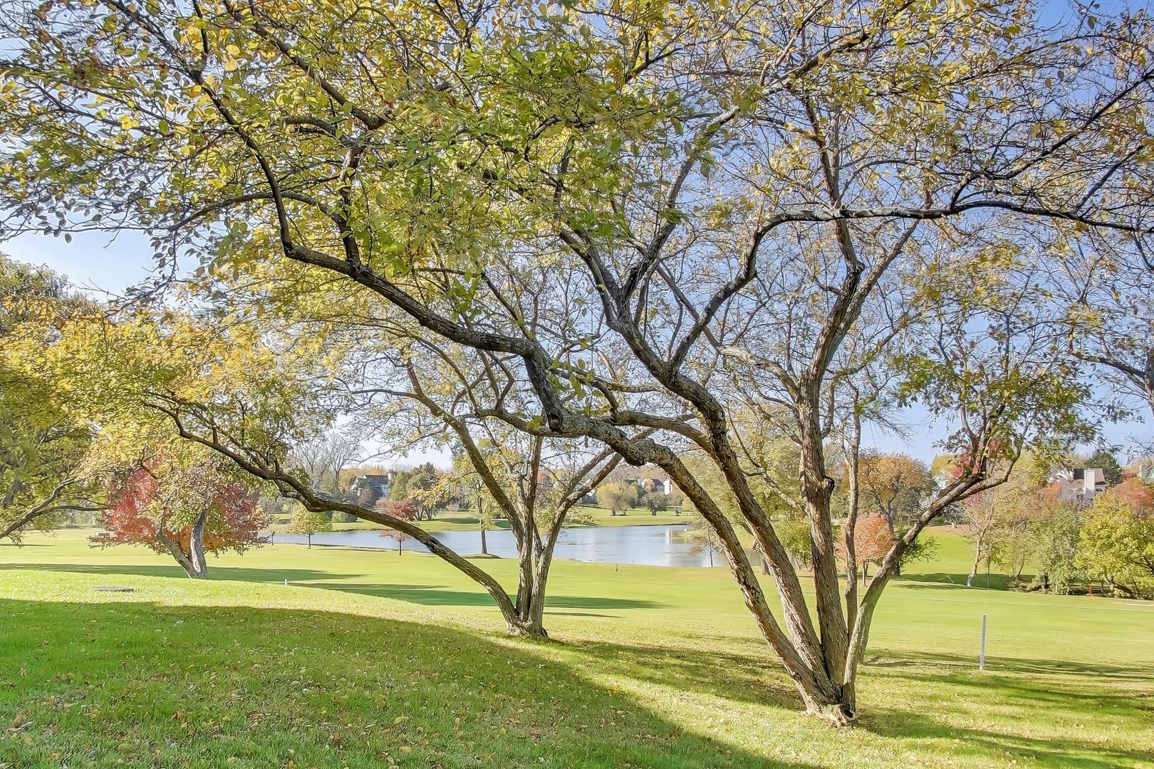 740 Chandler Road Gurnee, IL 60031 - Photo 22 of 26 a view of yard with large trees