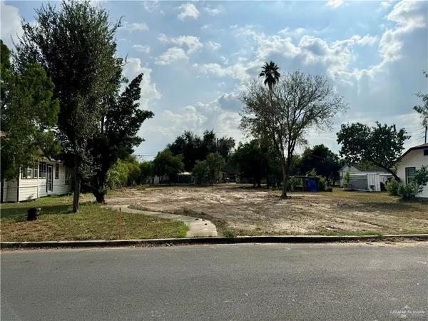 a view of a yard with a tree