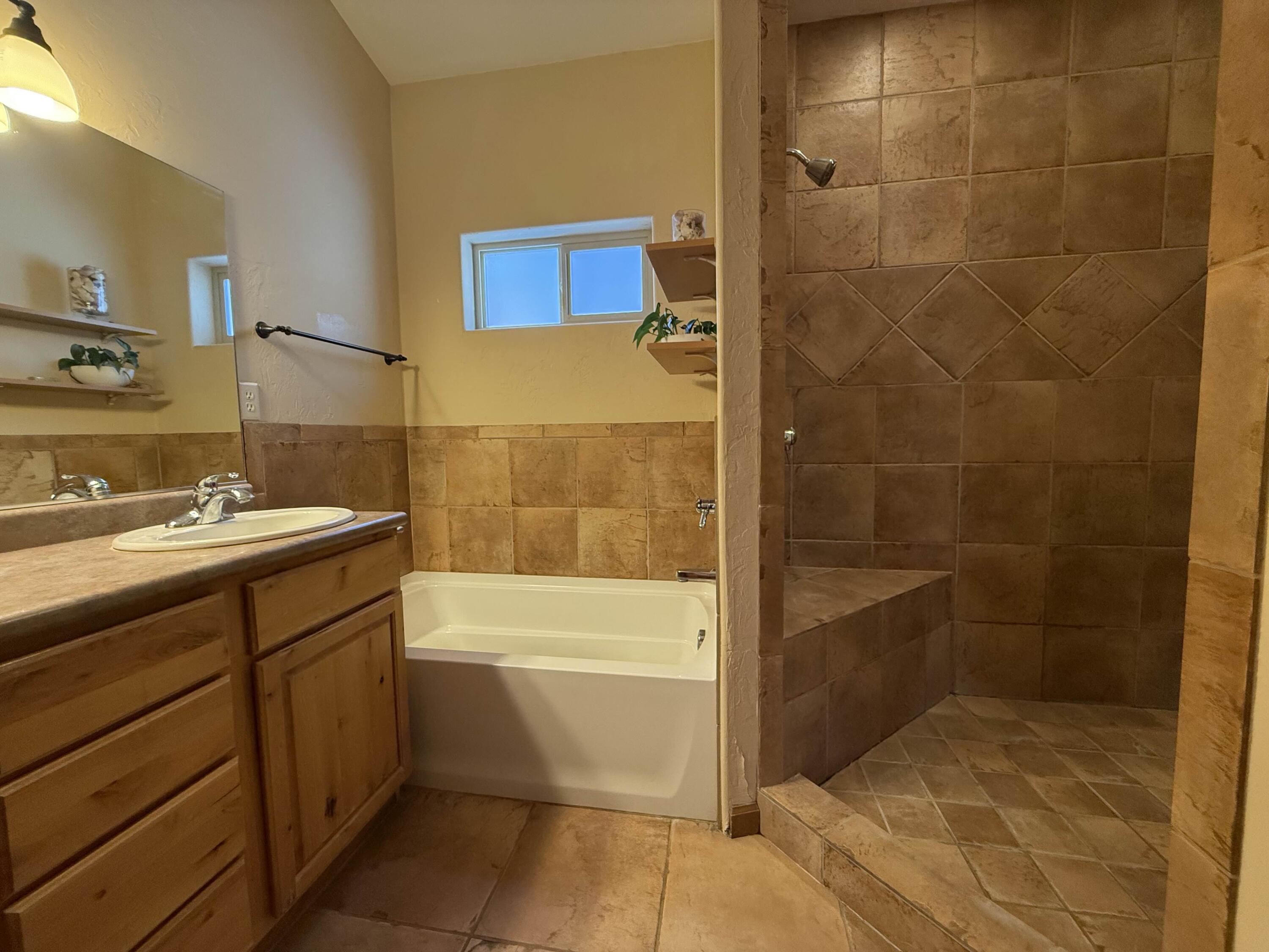 511 Marion Overlook Ridgway, CO 81432 - Photo 14 of 27 Primary Bath
